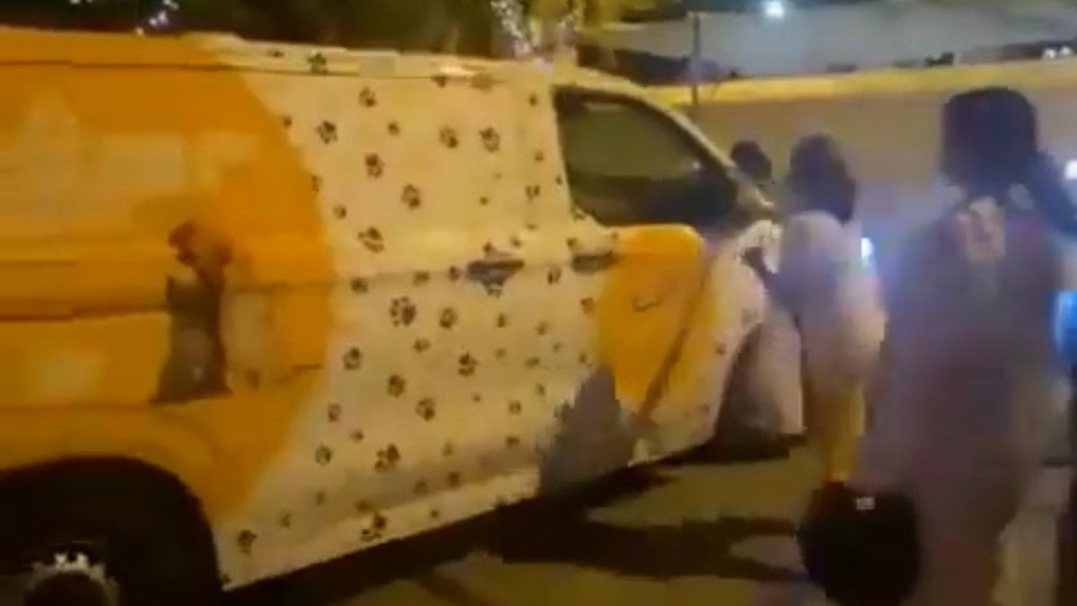 İstanbul’da başıboş köpekleri toplayan ekipleri tehdit ettiler