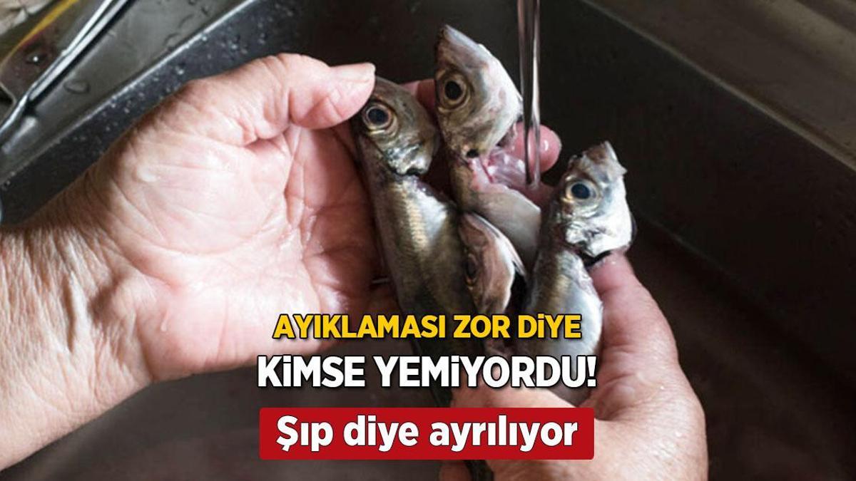 İstavritin kılçığını bir çırpıda çıkartın! Meğer sırrı bıçakta değil, makastaymış