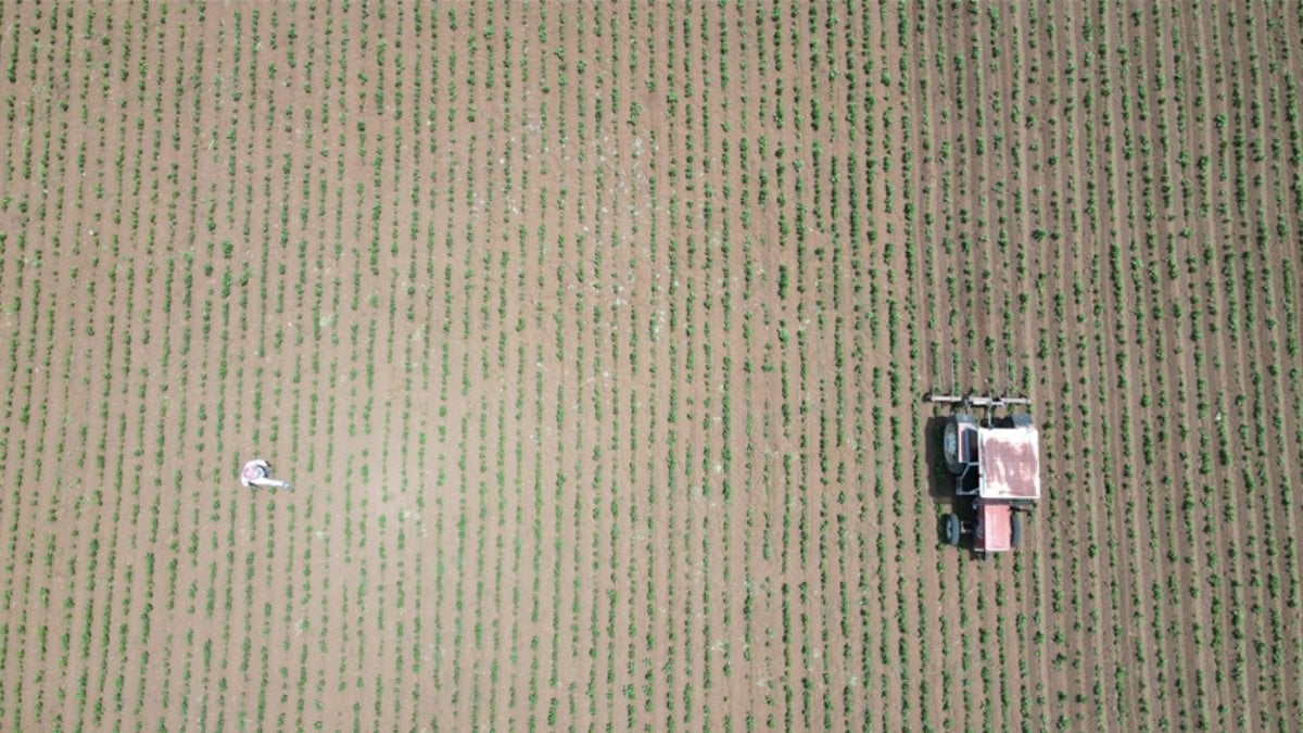 Üreticilere 7 ayda 3 milyar lirayı aşkın hasar tazminatı ödendi