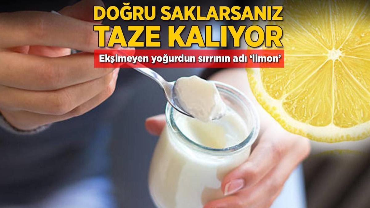 Usta aşçıların uyguladığı yöntem! Suyunu sıkıp içine dökün, yoğurt 3 ay ekşimiyor