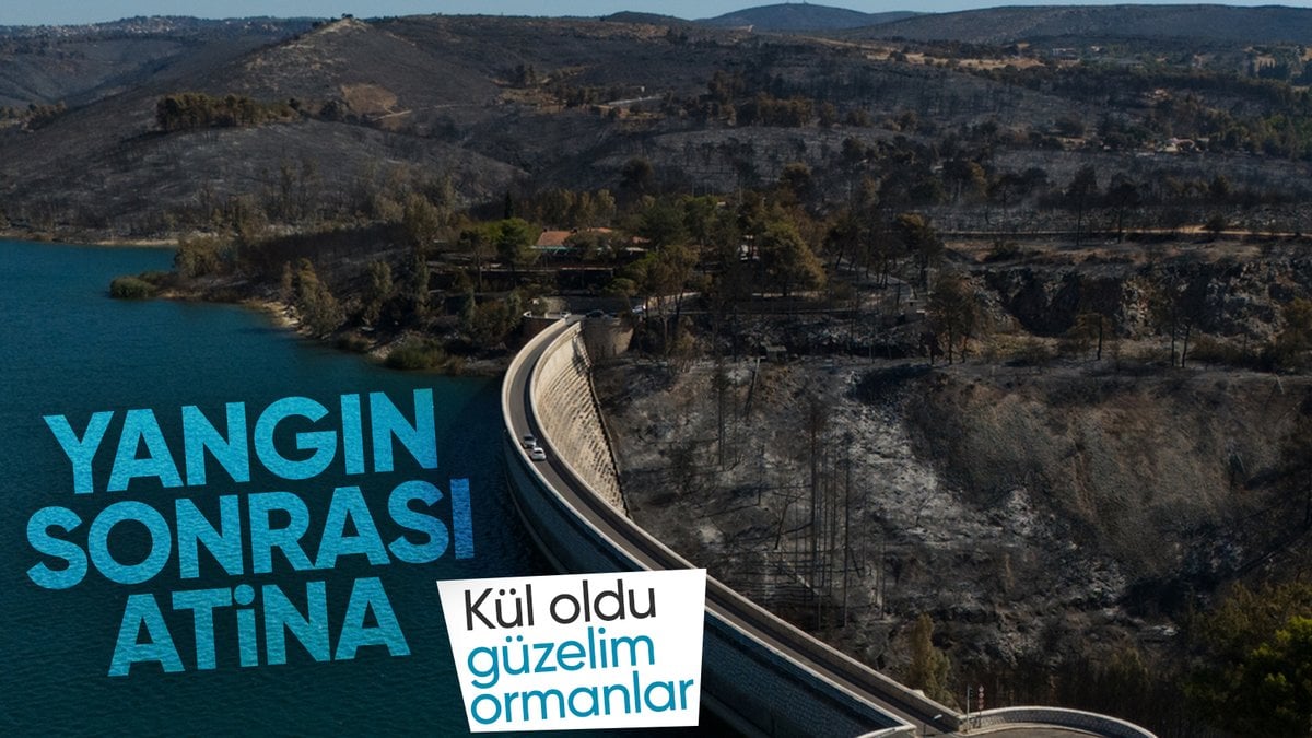 Yunanistan’da yanan ormanlar havadan görüntülendi