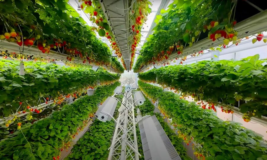 Tarıma teknoloji getiren Dyson diğer teknoloji şirketlerini alt etti